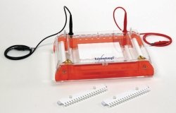 Gel electrophoresis tanks, horizontal GH303 | Type : GH303